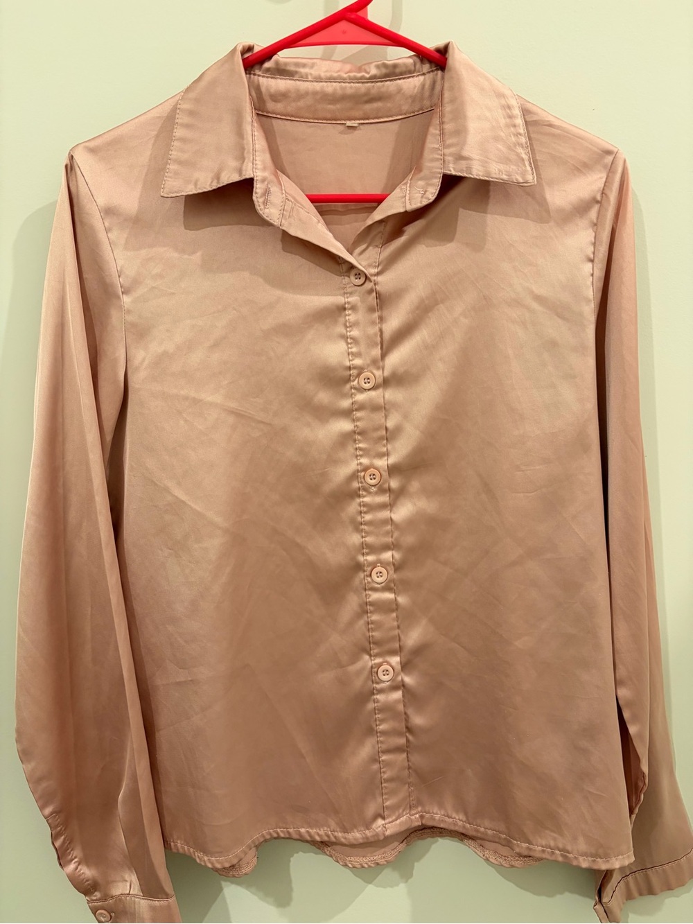 Long Sleeve Button-Down Shirt - Dusty Pink